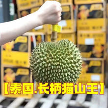 樱鲜 泰国长柄猫山王榴莲 单果3-4斤/保4房