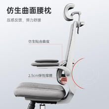 SIHOO 西昊 M59AS 家用电脑椅 双背 M59棉座+3D扶手+头枕
