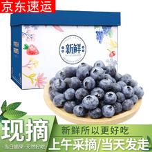 共雅 特大果 蓝莓125g*3盒 单果17-21mm