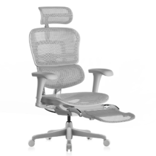 31日20点、PLUS：Ergonor 保友 金豪B 2代 人体工学椅 银白网+躺舒宝