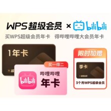PLUS会员：WPS 金山软件 超级会员15个月卡+哔哩哔哩大会员年卡