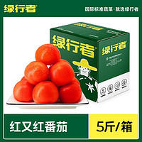 GREER 绿行者 红又红番茄品牌果5斤装新鲜蔬菜西红柿子酸甜孕妇水果