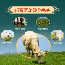 阳澄联合 内蒙古羊肉手把肉羊腿羊排新鲜现杀羔羊年货礼盒20斤