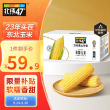 北纬47° BEIWEI） 黄糯玉米200g*10穗低脂玉米棒东北黄糯玉米杂粮杂粮礼盒尔滨特产