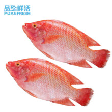 品珍鲜活 三去红星斑鱼 900g/2条装（去鳞去鳃去内脏）