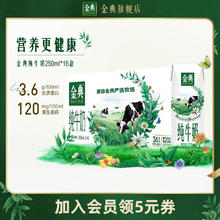 SATINE 金典 3.6g乳蛋白 纯牛奶