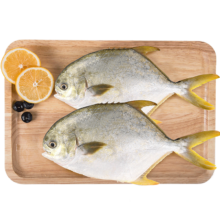 翔泰冷冻海南金鲳鱼700g 2条 生鲜鱼类 深海鱼  烧烤食材 海鲜水产*4