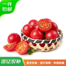 京百味 山东圣女果 1.5kg