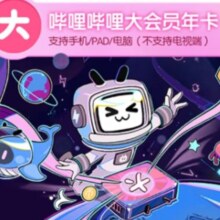 哔哩哔哩 vip会员年卡 12个月