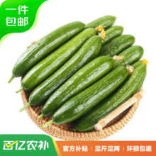 Plus会员，百亿补贴：京百味山东荷兰水果黄瓜5斤装