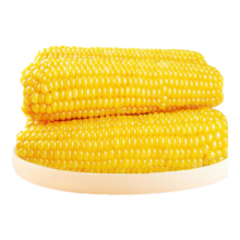 plus会员:珍谷诱惑 东北甜糯玉米 黄糯玉米1.6kg 8支