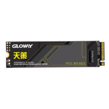 光威（Gloway）512GB SSD固态硬盘 M.2接口(NVMe协议) PCIe 3.0x4 天策系列