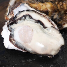 京东百亿补贴：鲟食 乳山生蚝 鲜活特大牡蛎 送三件套 XL号净重4斤（120-140g/只）