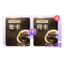 百度网盘 超级会员13个月卡