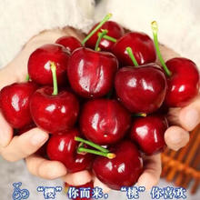 鲜安漫 山东樱桃车厘子 4J 3斤 彩箱装