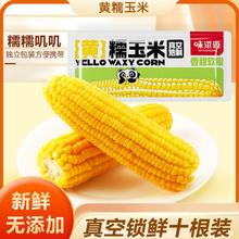 weiziyuan 味滋源 糯叽叽黄糯玉米220gX10根早餐饱腹玉米粒零食品