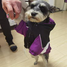 Hoopet 狗狗衣服秋冬雪纳瑞泰迪犬棉服冬天冬装保暖宠物小狗棉衣冬季加绒