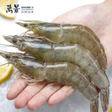 百亿补贴：万景北海鲜冻白虾国产白虾 净重4斤 100-120只