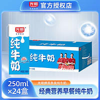 Bright 光明 纯牛奶整箱 250ml*24盒
