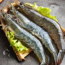 厄瓜多尔白虾盐冻大虾*4斤（40-50规格）