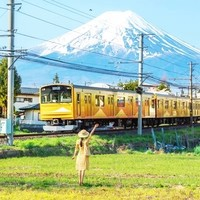 有效期有半年！日本东京/大阪/北海道/名古屋一日游通兑劵 含季节限定行程