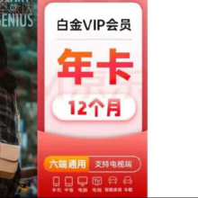 iQIYI 爱奇艺 白金VIP会员年卡 12个月 支持电视端【需下载银河奇异果使用】