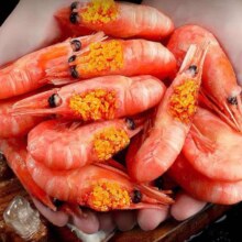 再降价，plus会员立减，百亿补贴：龙味福北极甜虾 甜虾90-120只/kg 净虾重3斤（无冰衣）