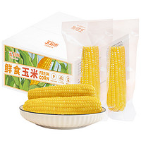 玉到米 鲜食黄糯玉米棒 8根