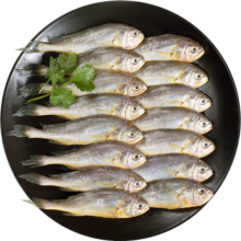 海名威 冷冻东海小黄鱼500g 16-20条 海鱼 生鲜鱼类 海鲜水产 烧烤
