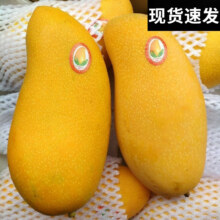 PLus会员，甜萌果蔬广西金煌芒果  5斤大果带箱精选装【 单果150g+】