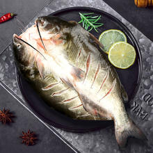 DIAOYUJI 钓鱼记 叉尾鮰鱼 500g-650g