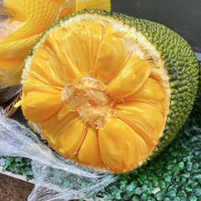 Kaooseen 靠森 海南黄肉菠萝蜜 17-20斤/1个
