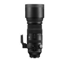 适马（SIGMA）150-600mm F5-6.3 DG DN OS ｜Sports 全画幅无反 超远摄变焦镜头  打鸟拍荷花（索尼卡口）