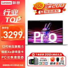 Lenovo 联想 小新Pro16 2024款酷睿AI标压i9可选高性能16英寸手提游戏本 标配小新16i5-12450H8G512G 16:10