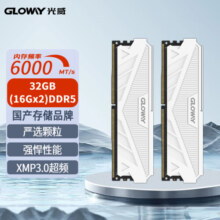 光威（Gloway）32GB(16GBx2)套装 DDR5 6000 台式机内存条 天策系列 助力AI