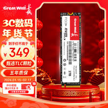 Great Wall 长城 1TB SSD固态硬盘 M.2接口(NVMe协议)TLC颗粒PCIe 3.0x4 GW300T系列
