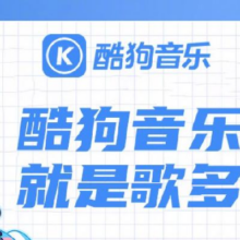 酷狗音乐会员豪华VIP一年酷狗豪华会员12个月VIP