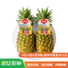 京东百亿补贴：佳农 菲律宾菠萝 2个装 单果重900g起 新鲜水果