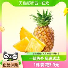 88VIP会员：胡鲜森 海南金钻凤梨手撕风梨4.8斤大果新鲜水果当季现摘无眼菠萝包邮