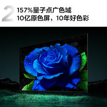 TCL T8H系列 65T8H 电视 65英寸 4K