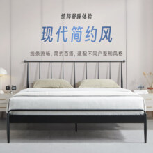 舒达（serta）铁艺床欧式铁架床时尚双人床加固加厚简约卧室梦享系列金属艺术床 梦享F1 1.2*2m