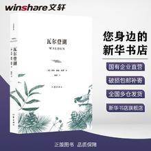 瓦尔登湖外国文学名著读物
