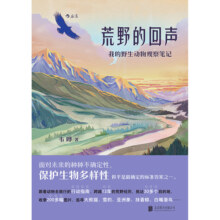 荒野的回声