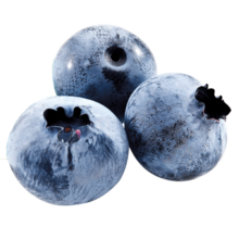 pLuS会员、京东百亿补贴:喵鲜君云南蓝莓 中果带盒125g*4盒 果径12-14mm