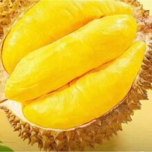 PLUS会员:绿鲜森 泰国金枕头榴莲2-3斤*2件