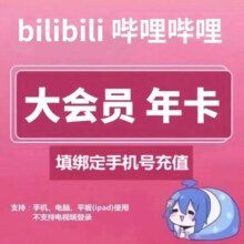 bilibili 哔哩哔哩 大会员年卡 12个月