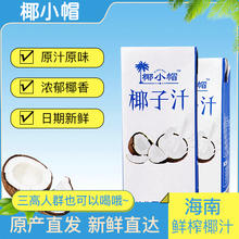 Hidolly 百多利 椰汁整箱新鲜植物蛋白椰奶椰子水饮料椰浆250ml*10盒官方旗舰店UU