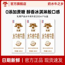 乳鹰 水牛纯牛奶散装200ml*16盒儿童营养早餐奶吃甘蔗广西纯牛奶