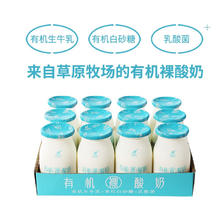 今时代 酸奶 有机裸酸奶 150g*12瓶