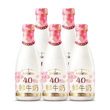 SHINY MEADOW 每日鲜语 4.0鲜牛奶720ml*5瓶全脂低温高钙营养早餐鲜牛奶